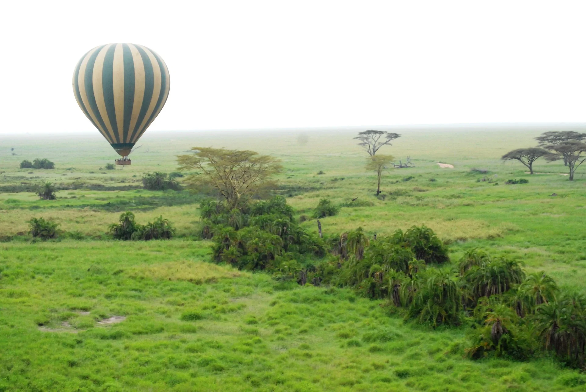 6 Days Tanzania Luxury Safari