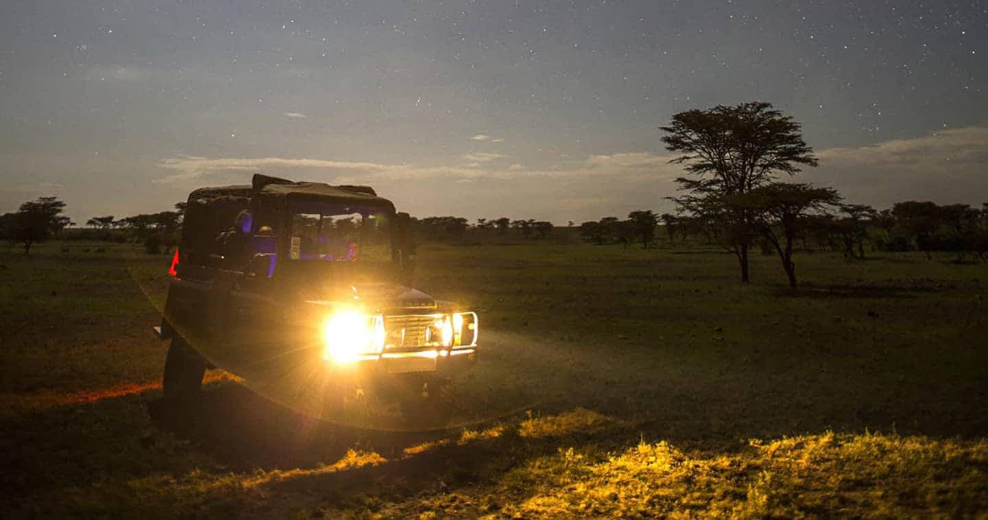 Night Game Drive