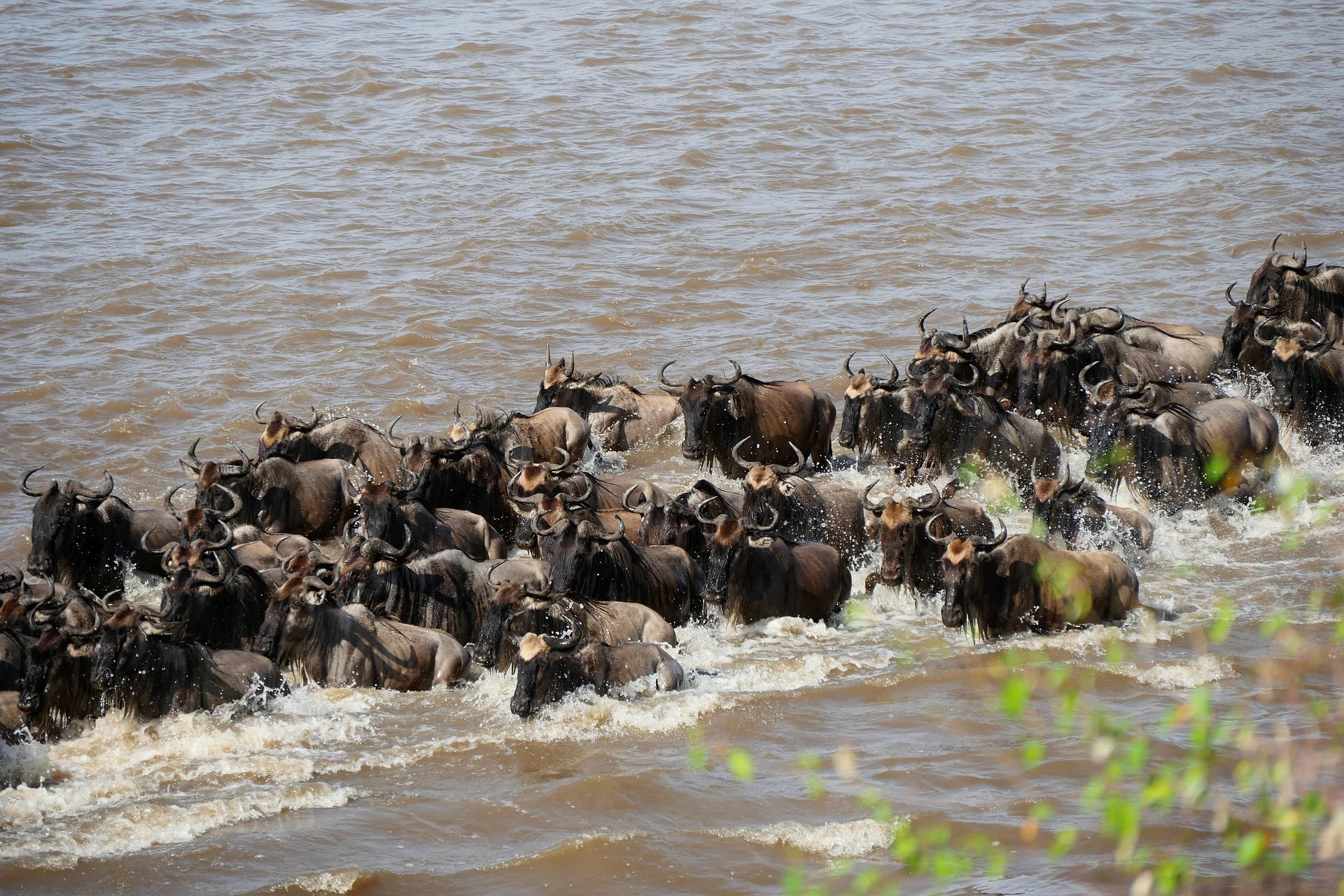 Serengeti National Park